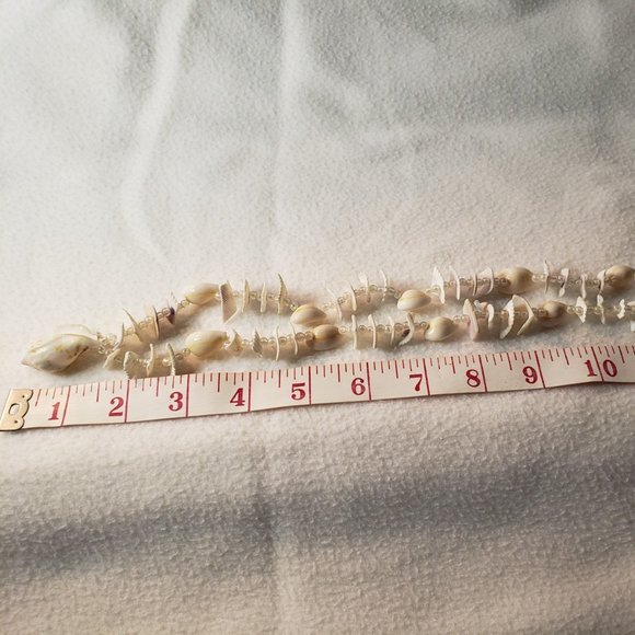 Necklace real sea shells - Picture 4 of 6